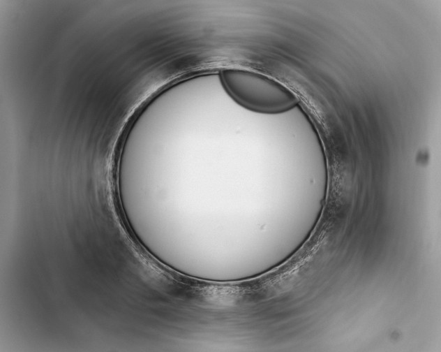 X0000103400893200810031222