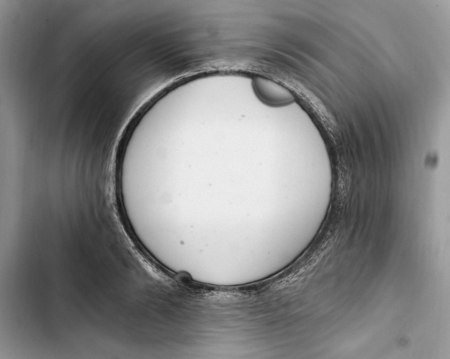 X0000103400894200810031222