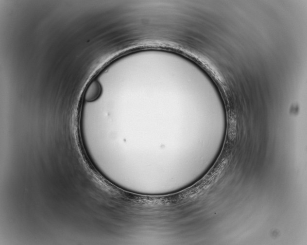 X0000103400895200810031222