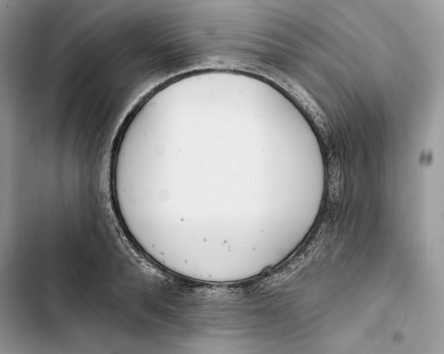 X0000103400896200810031222