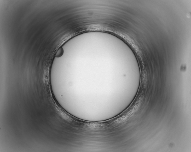 X0000103400897200810031222