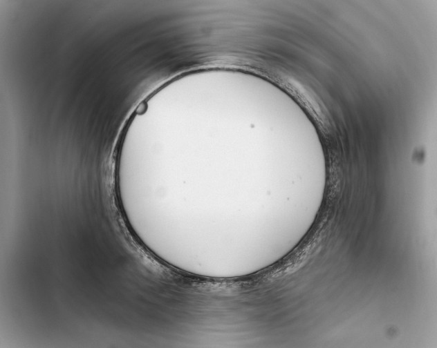 X0000103400900200810031222