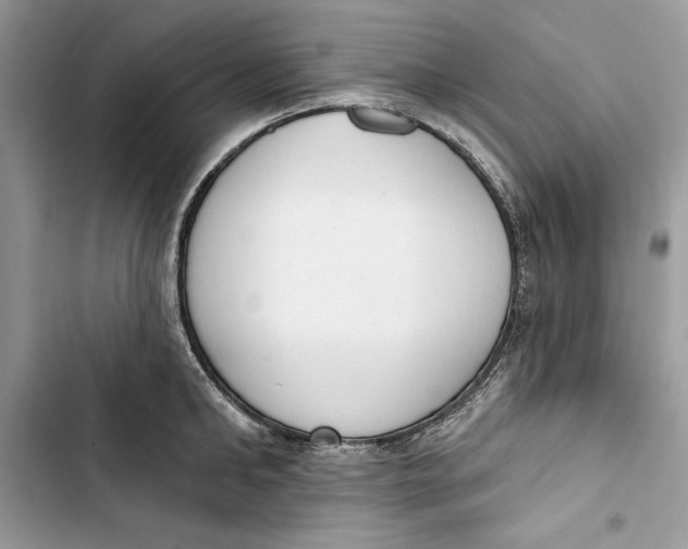 X0000103400902200810031222