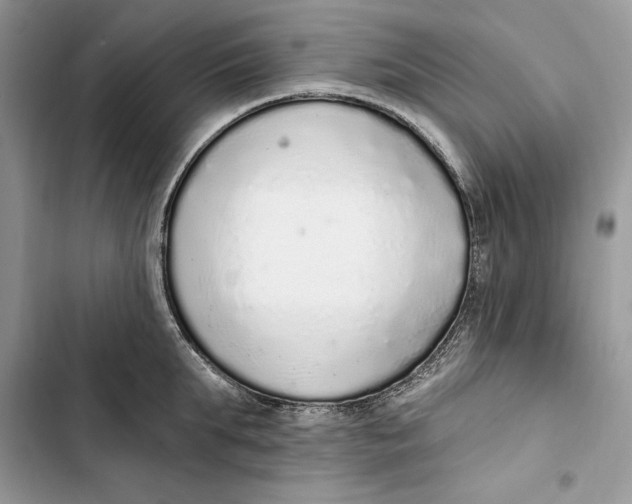 X0000103400903200810031222