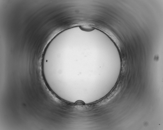 X0000103400906200810031222