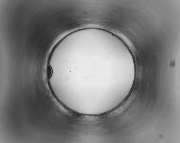 X0000103400910200810031222