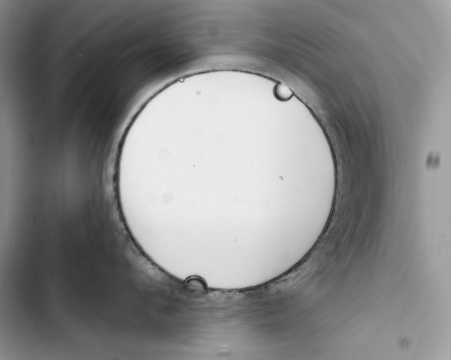 X0000103400912200810031222