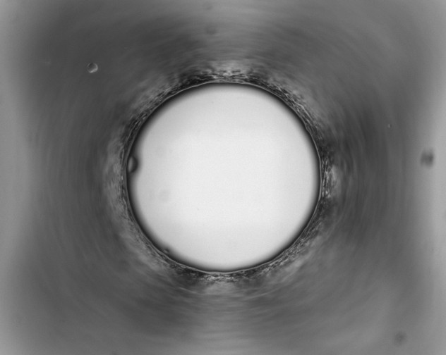 X0000103400913200810031221