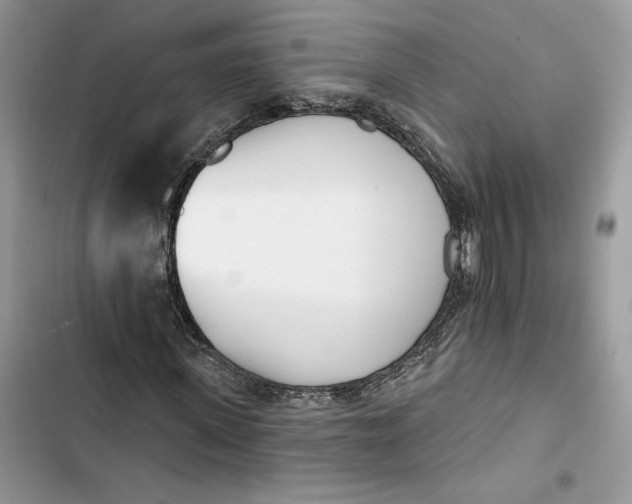 X0000103400915200810031221