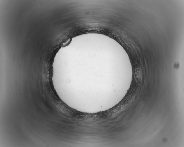 X0000103400916200810031221