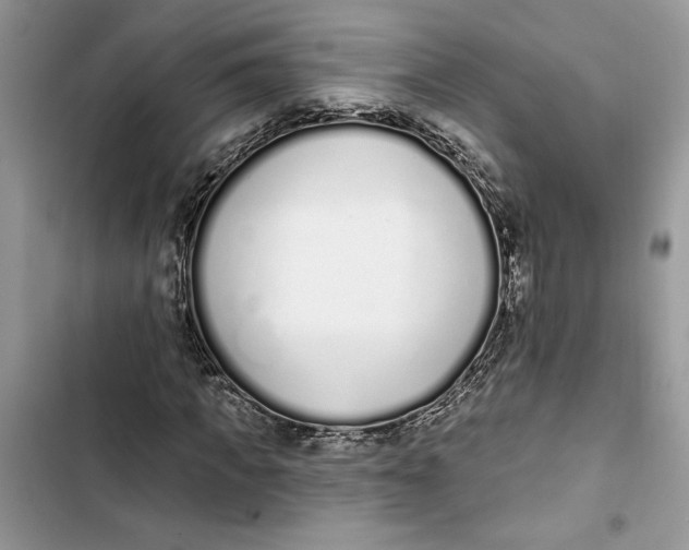 X0000103400917200810031221