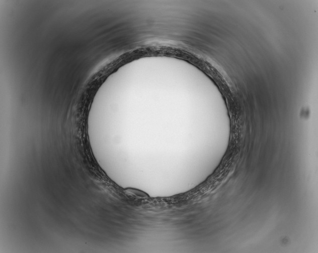 X0000103400919200810031221