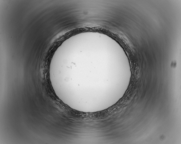 X0000103400920200810031221