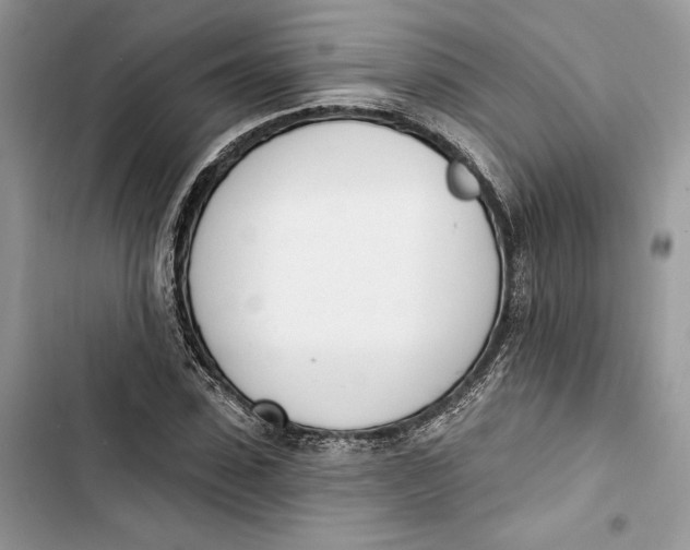 X0000103400923200810031221