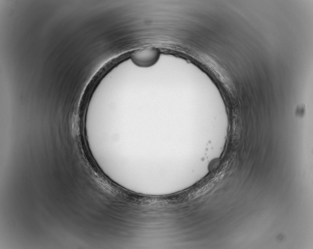 X0000103400924200810031221