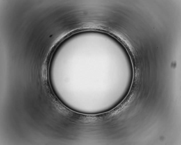 X0000103400925200810031221