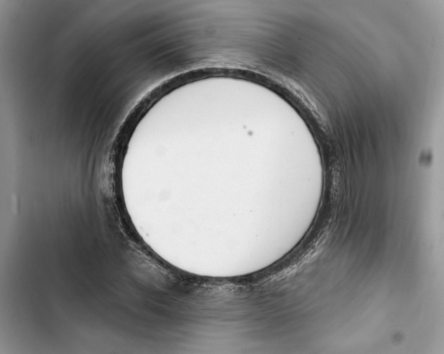 X0000103400926200810031221