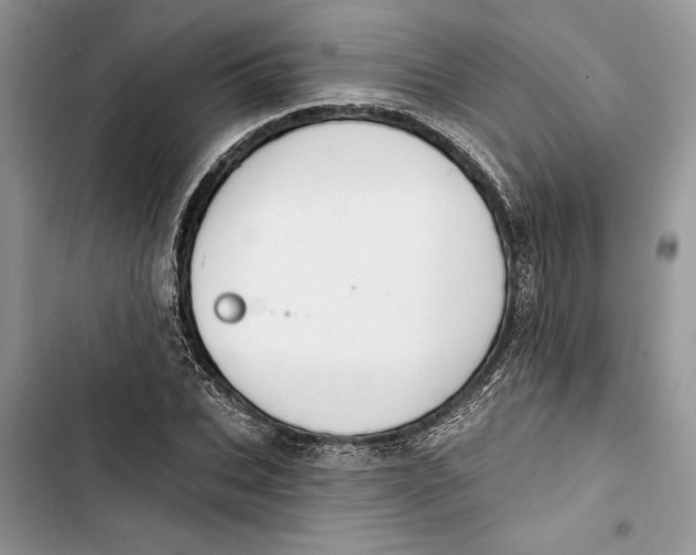 X0000103400927200810031221