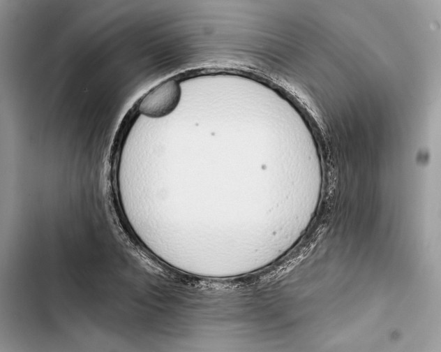 X0000103400928200810031221