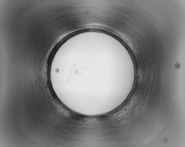 X0000103400931200810031221