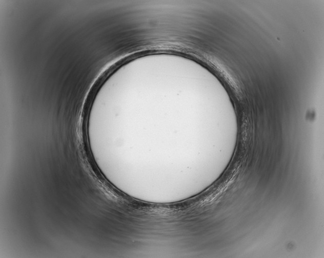 X0000103400932200810031221