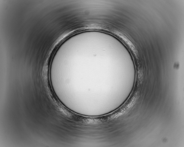 X0000103400933200810031221