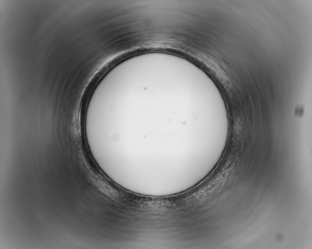 X0000103400934200810031221