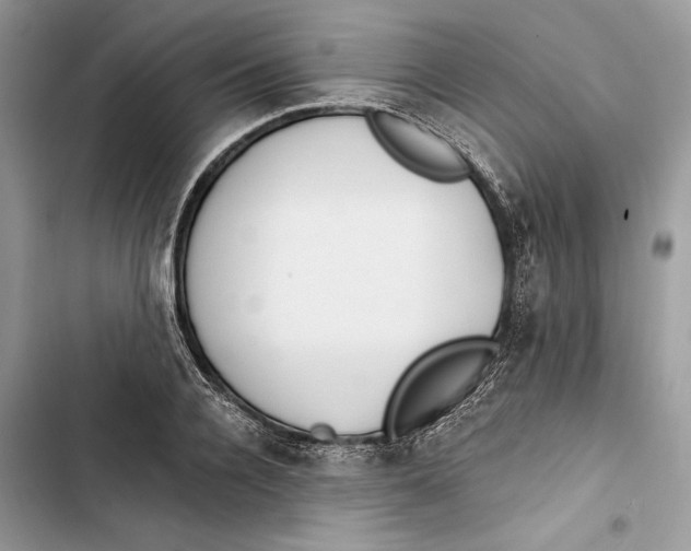 X0000103400936200810031221