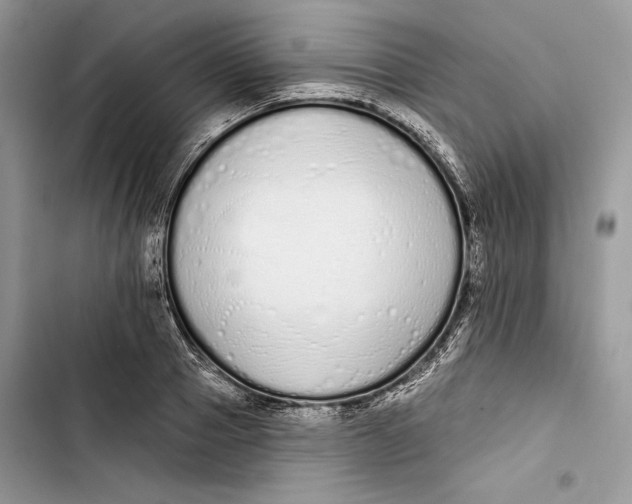 X0000103400937200810031221