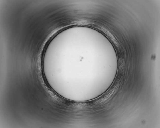 X0000103400939200810031221