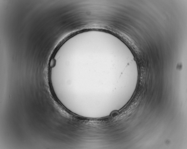 X0000103400942200810031221