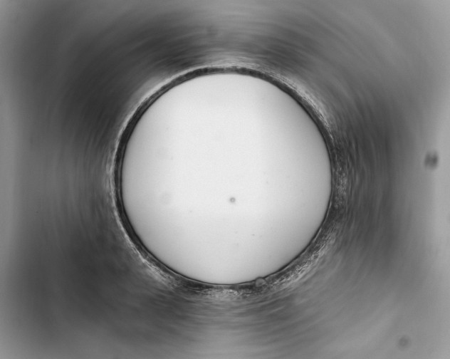 X0000103400943200810031221