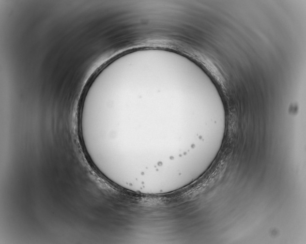 X0000103400944200810031221