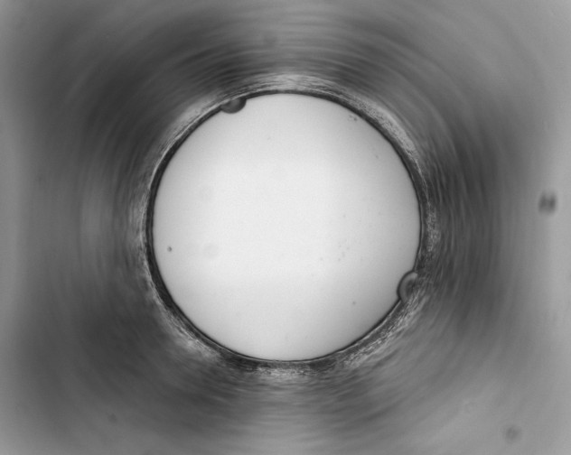 X0000103400946200810031221