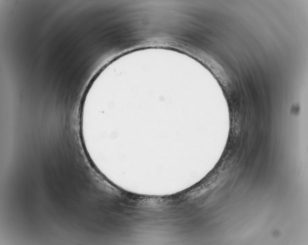 X0000103400950200810031221