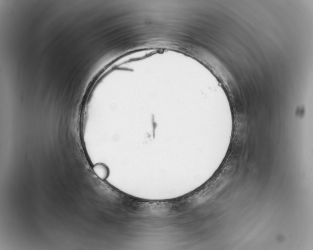 X0000103400952200810031222