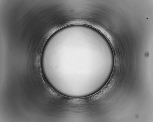 X0000103400953200810031222