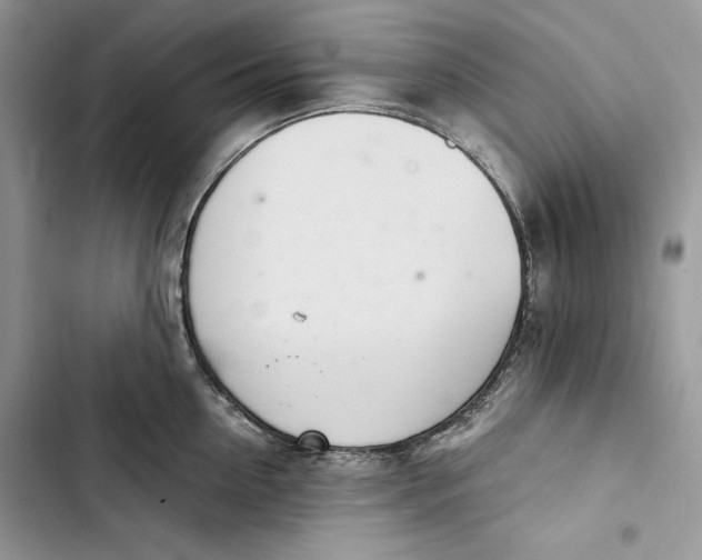 X0000103400954200810031222