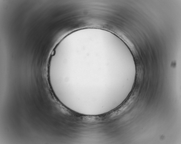 X0000103400956200810031222