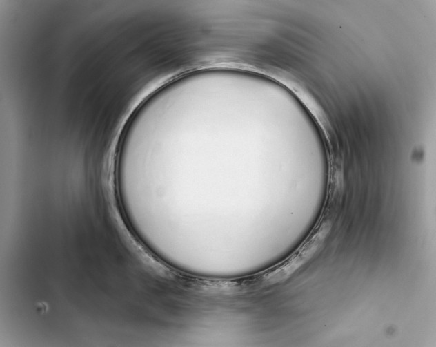 X0000103400957200810031222