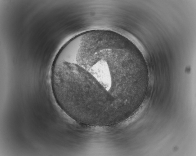 X0000103400958200810031222