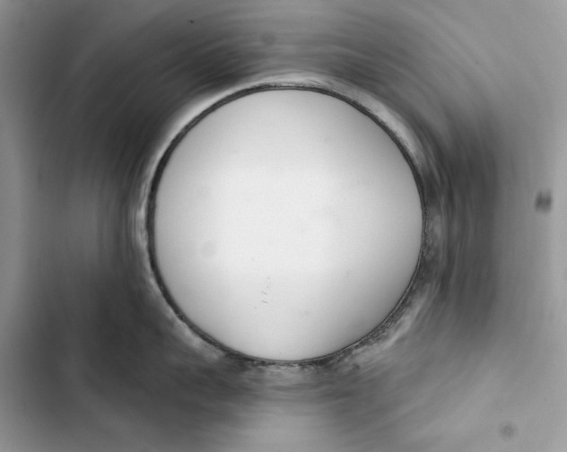 X0000103400959200810031222