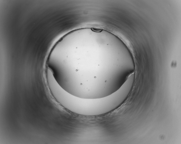 X0000103400960200810031222