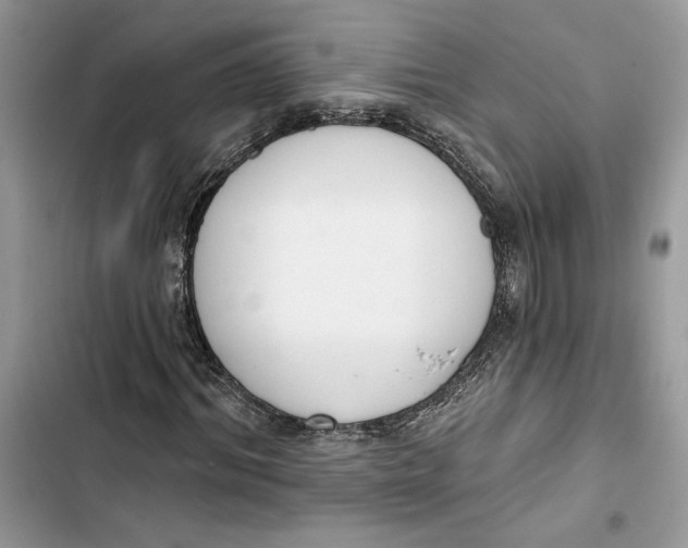 X0000103400964200810031221