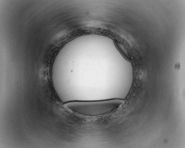 X0000103400965200810031221