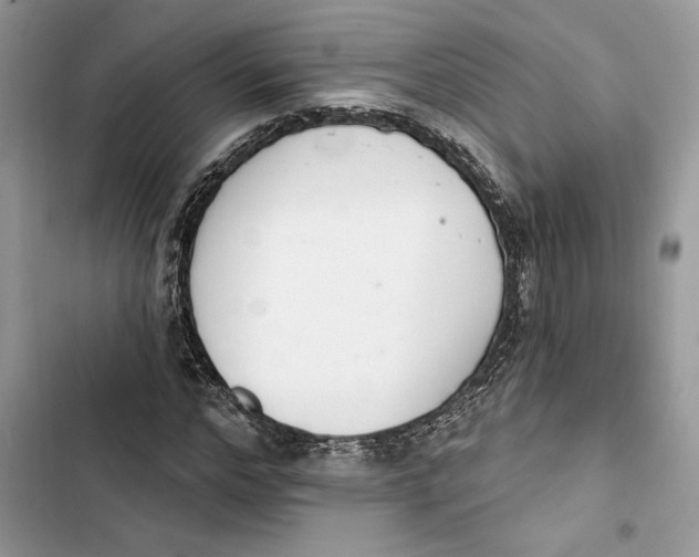 X0000103400968200810031221