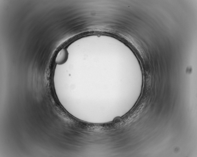 X0000103400971200810031221