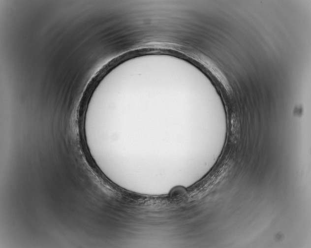 X0000103400972200810031221