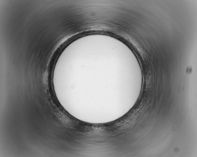 X0000103400975200810031221