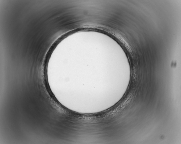 X0000103400976200810031221